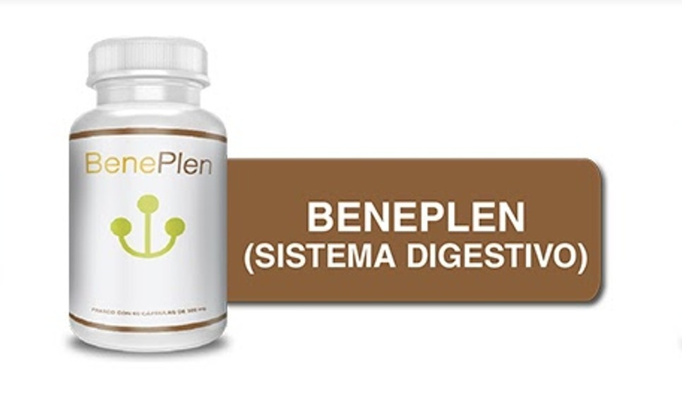 <span style="font-weight: bold;">BENEPLEN </span>